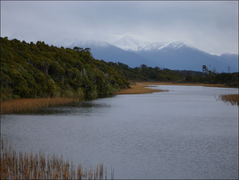 DSC01241_westcoast regenwald
